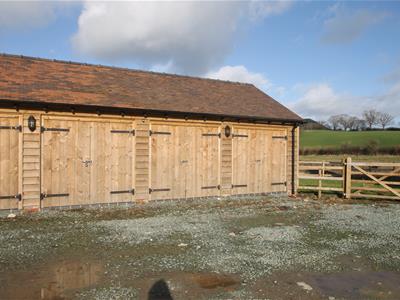 Picture 13